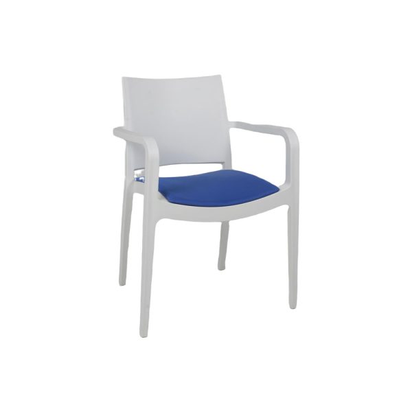 Polypropylene Chair with Cushion